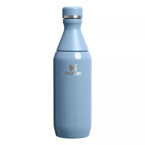 Termospudel The All Day Slim 0,35L läikiv sinakasvioletne